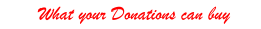 Cllick here for a Shopping list of what your donation could buy
